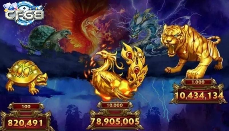 Trải Nghiệm Chưa Từng Có