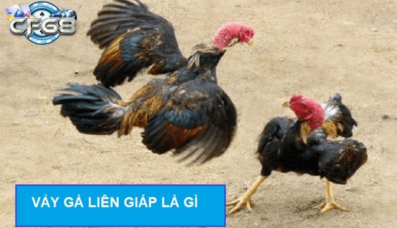 Vảy liên giáp - Triệu chứng, nguyên nhân và cách điều trị
